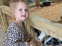 Petting Zoo Barn, Memphis TN Petting Zoo Barn, Memphis TN